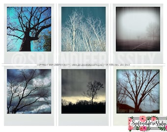 Arbres d'hiver Printable vintage Polaroid Photos for Art and Bible Journaling, Mixed Media, Planners, Stickers