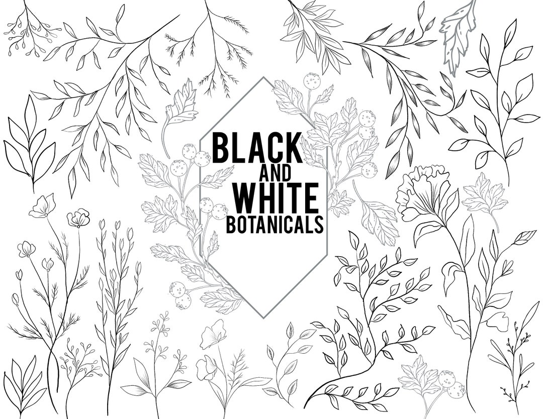 Black and White Botanical Printable Stickers DIGITAL DOWNLOAD - Etsy