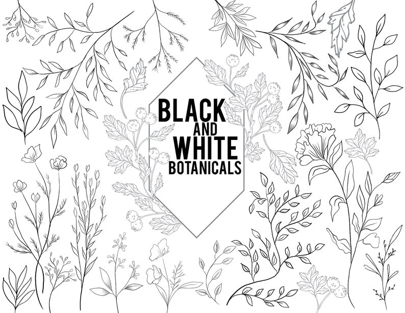 Black and White Botanical Printable Stickers DIGITAL DOWNLOAD - Etsy