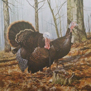Kelley&#39;s Creek Gobblers by Wayne Spradley