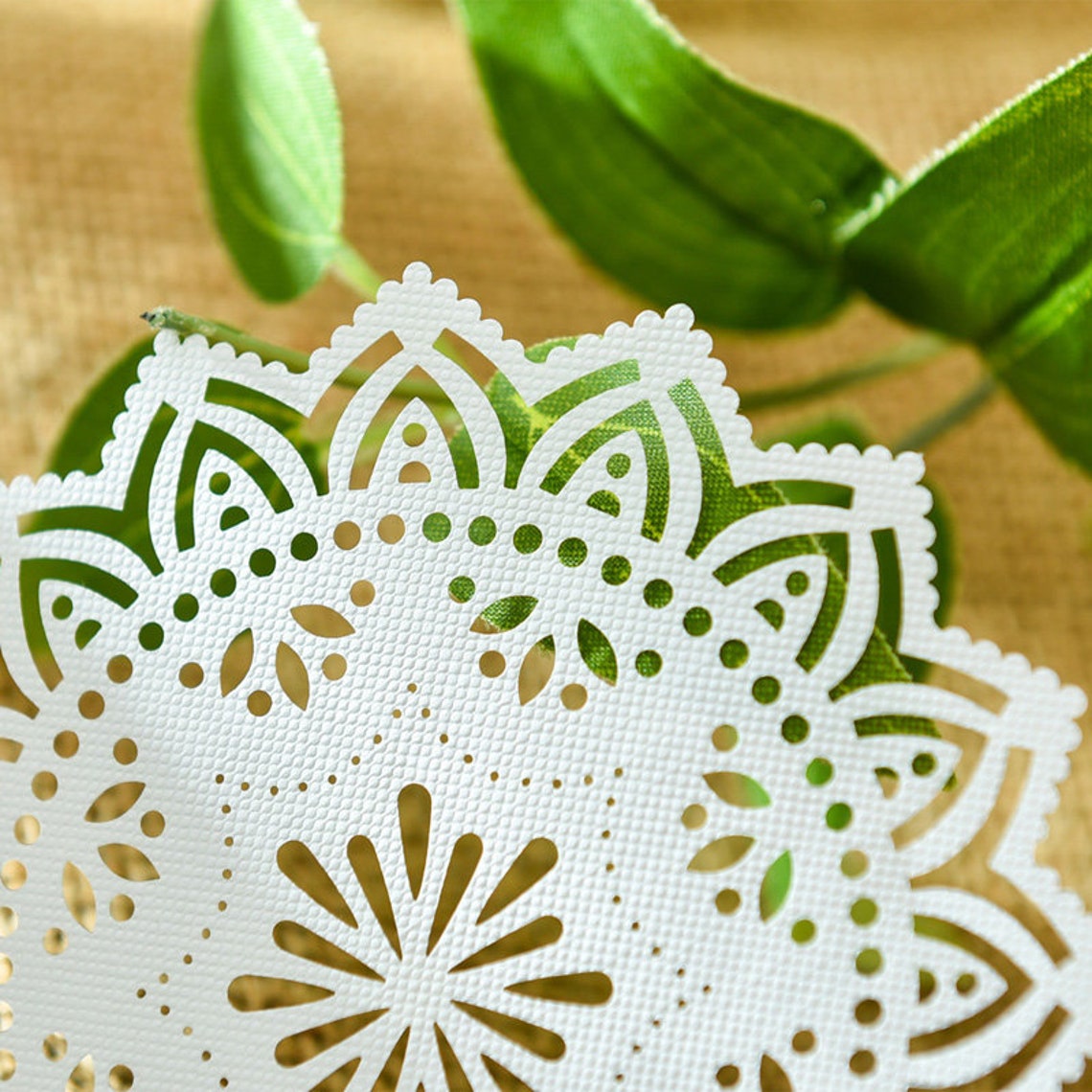 8 pcs Paper Doilies Die Cut Set Lace Die Cuts Doilies Art Etsy