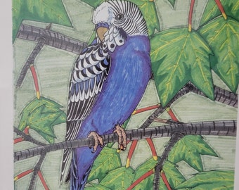 Original colored drawing of a pet bird