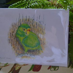 Green Parrot by Tree Fine Art Print