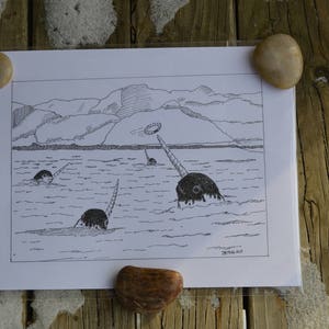 Pen and Ink Drawing of Narwhals