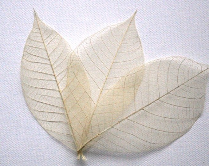 COPPER ASPEN Leafwall Decor,metal Sculpture,metal Art ,wall Art ,home