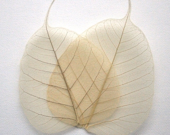 Natural Bodhi Skeleton Leaves