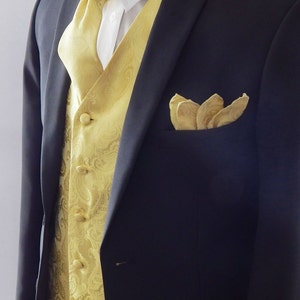 DiBanGu Mens Satin Vest And Bowtie Lapel Pin Set For Maldives