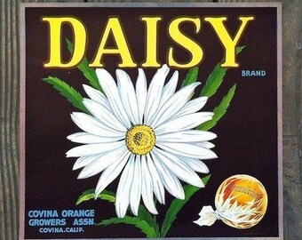 ORIGINAL CRATE LABEL 1950S MID CENTURY SUN IDOL VINTAGE GRAPHIC SUNBURST ORANGE