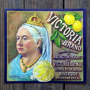 Vintage Original QUEEN VICTORIA Lemon Citrus Crate Fruit Label 1920s NOS
