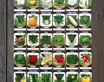 30 Original Card Seed Co Packets VEGETABLE SEED PACK Collection Unfilled 1920s