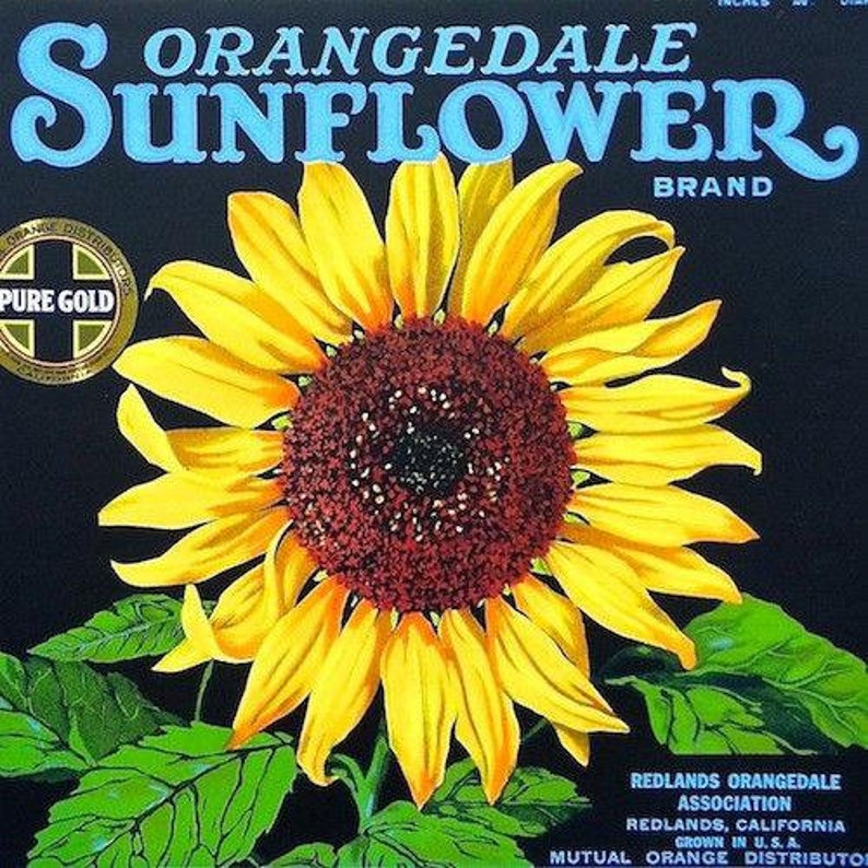 Vintage Original SUNFLOWER ORANGEDALE Citrus Crate Box Label 1920s