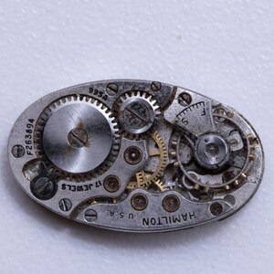 May include: Close-up of a vintage watch movement with intricate gears and components. The oval-shaped mechanism features the text "HAMILTON U.S.A." and "17 JEWELS." Serial numbers "F263894" and "995A" are visible. The gears are silver and gold.