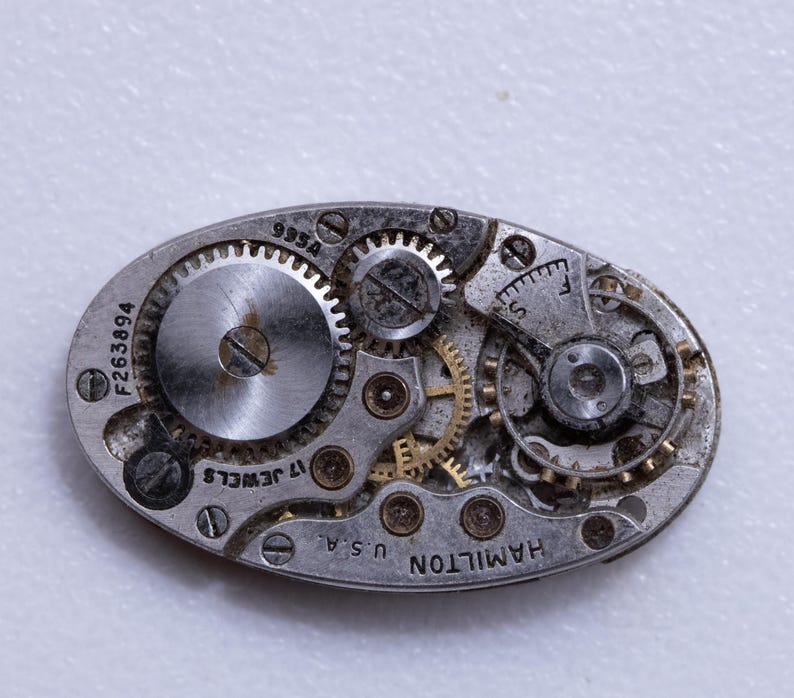 May include: Close-up of a vintage watch movement with intricate gears and components. The oval-shaped mechanism features the text "HAMILTON U.S.A." and "17 JEWELS." Serial numbers "F263894" and "995A" are visible. The gears are silver and gold.