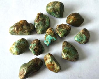 Vintage Nevada Rough Turquoise Nuggets  100 ct. lots