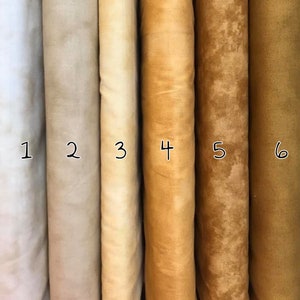 Può includere: Sei campioni di tessuto in varie tonalità di beige e marrone. I campioni sono numerati da 1 a 6.