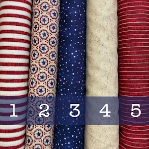 Può includere: Cinque campioni di tessuto diversi con motivi rosso, bianco e blu. I campioni sono numerati da 1 a 5. I motivi includono strisce, stelle e pois.