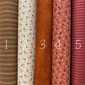 Può includere: Cinque campioni di tessuto in vari colori e motivi autunnali. I campioni sono numerati da 1 a 5. I campioni includono strisce marroni, bianco con stampa floreale marrone, arancione, rosa con stampa floreale marrone e strisce rosse.