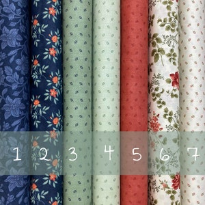 Può includere: Sette campioni di tessuto con diversi motivi floreali. I campioni sono numerati da 1 a 7. I motivi includono una stampa floreale blu scuro, una stampa floreale blu chiaro, una stampa verde con piccoli punti bianchi, una stampa verde chiaro con piccoli punti bianchi, una stampa rossa con piccoli punti bianchi, una stampa bianca con un motivo floreale verde chiaro e una stampa bianca con un motivo floreale verde chiaro e fiori rossi.