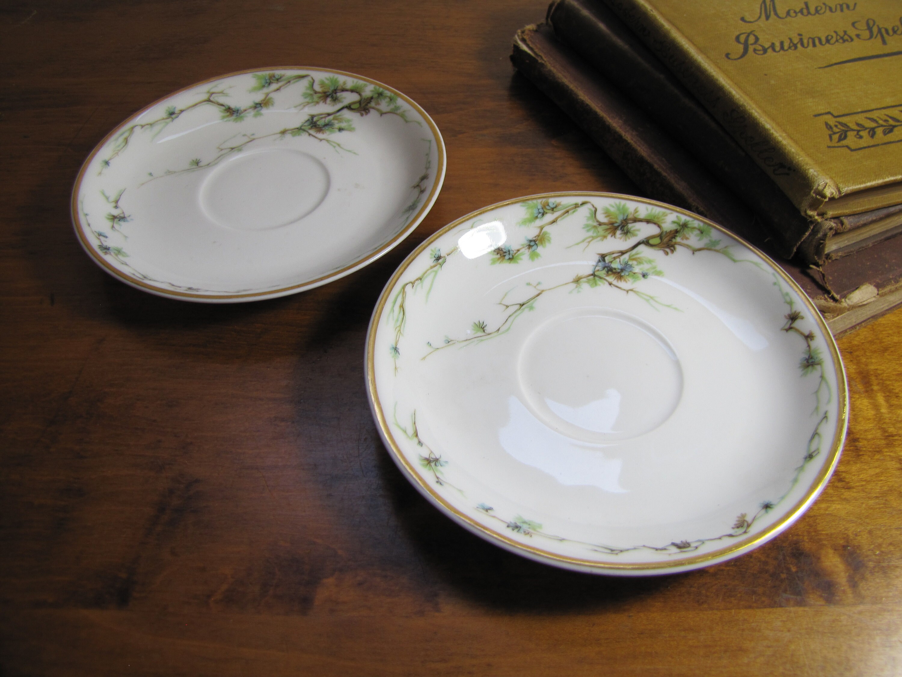 Two 2 Vintage Saucers Decorated by Haviland & Co Etsy