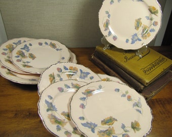 Set of Nine (9) Steubenville - Rose Dawn - Bread and Butter Plates