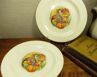 Vintage Cornucopia Plates - Wide Rim - Set of Two (2)