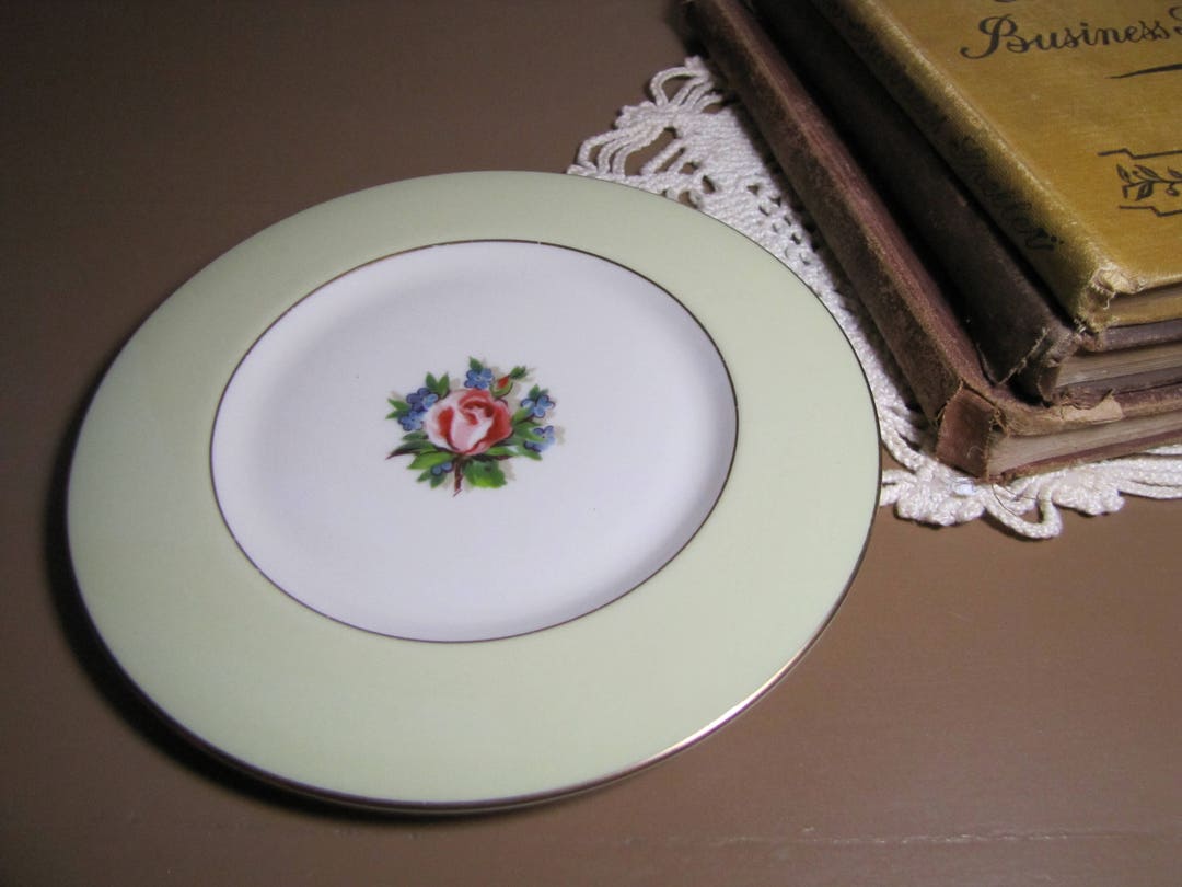 Fine Arts Fine China Romance Rose Vintage Saucer Sagey Green Lip Pink