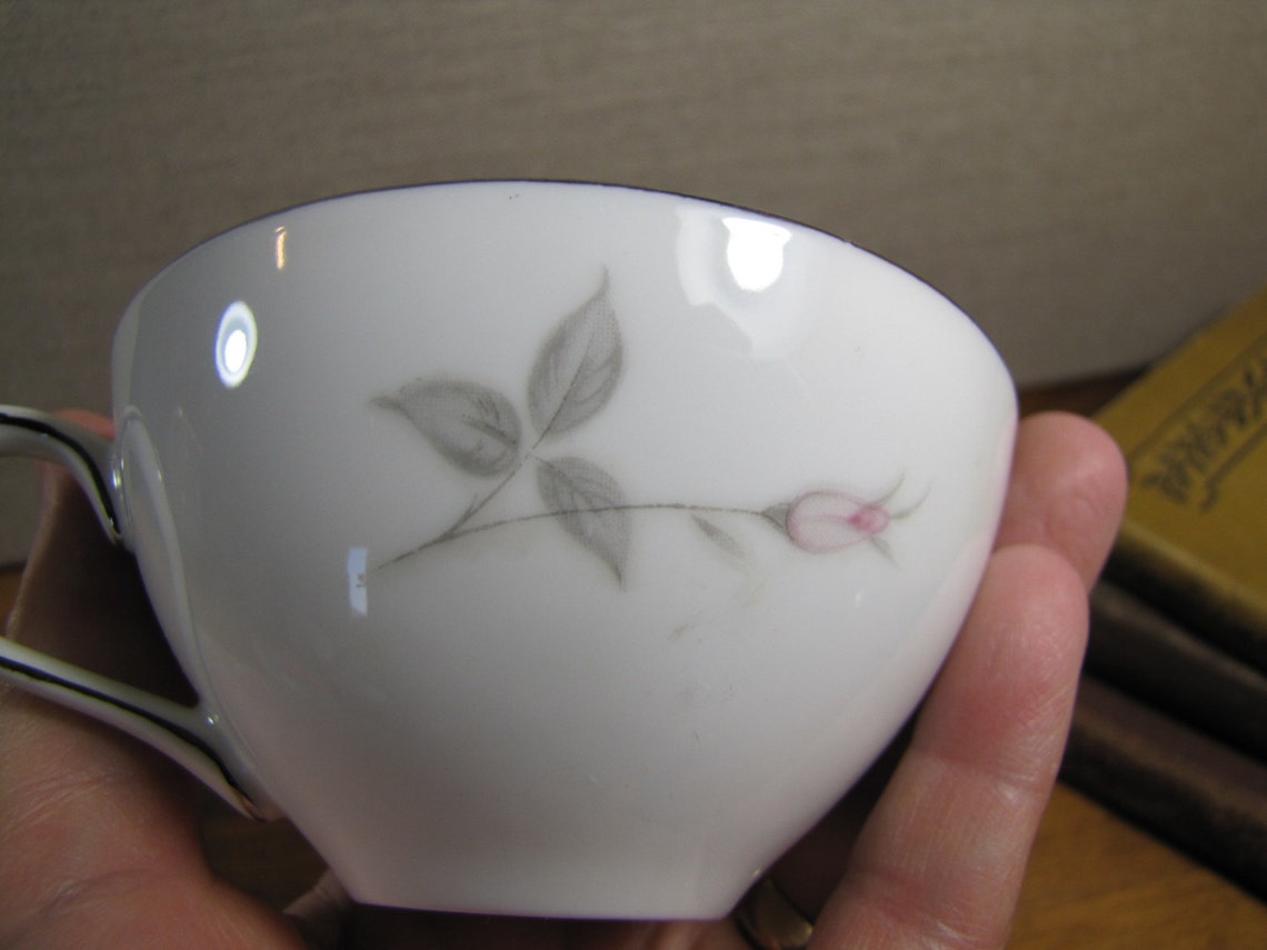 Vintage Amcrest Fine China Teacup Carmen Pattern Pale Pink Etsy