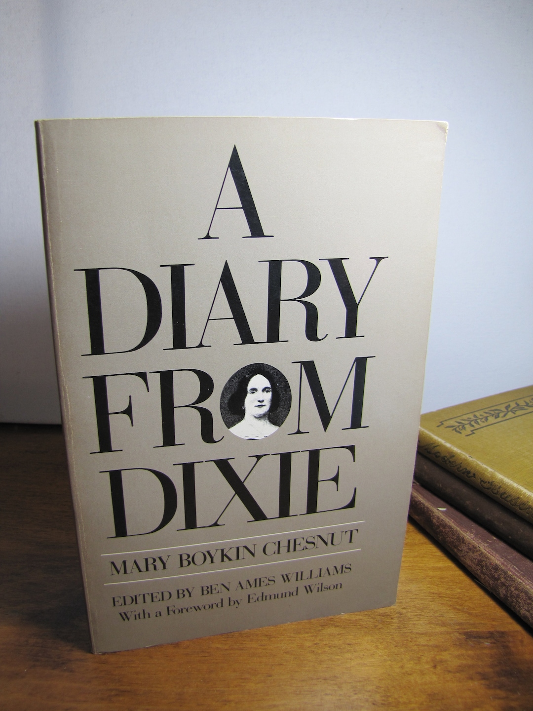 Vintage Book A Diary From Dixie by Mary Boykin Chesnut Paperback 1980
