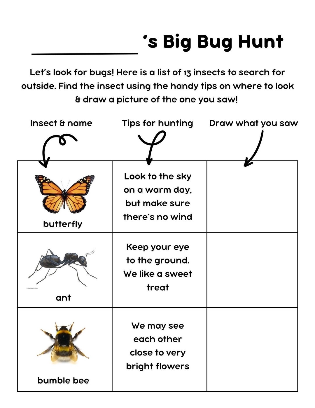 Kids Bug Hunting Guide - Etsy