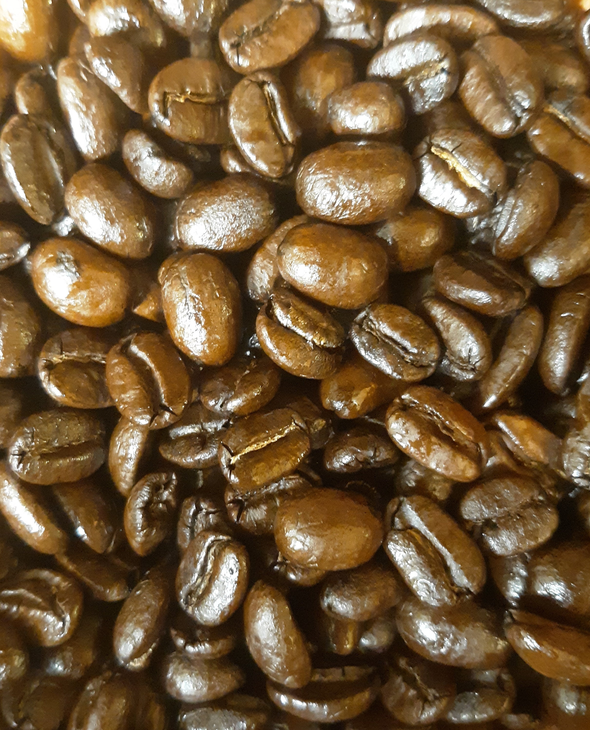 Freshly Roasted Coffee Beans Italian or French Roast 1 Pound Etsy