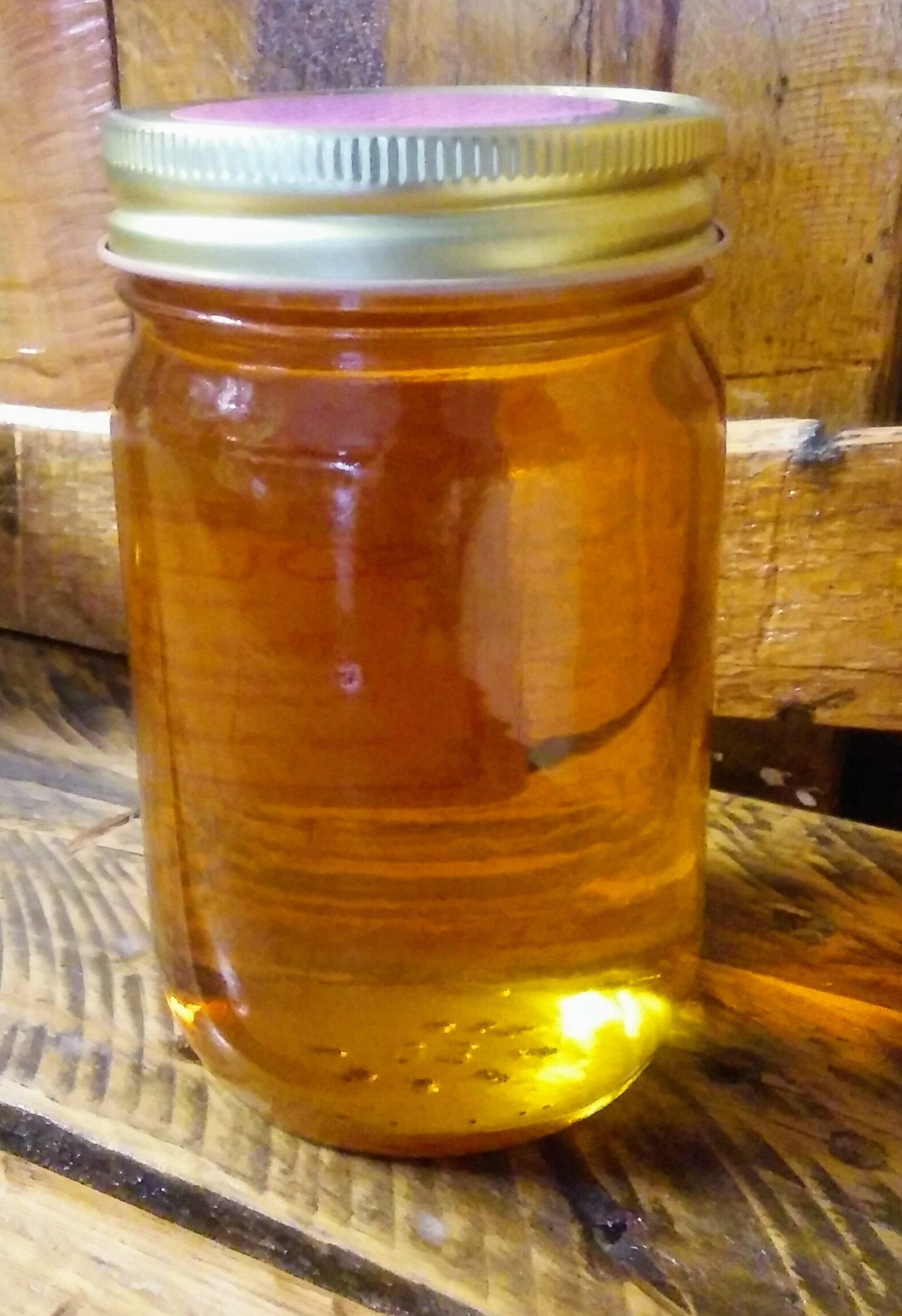 Pure Sourwood Honey 1 Pound Etsy