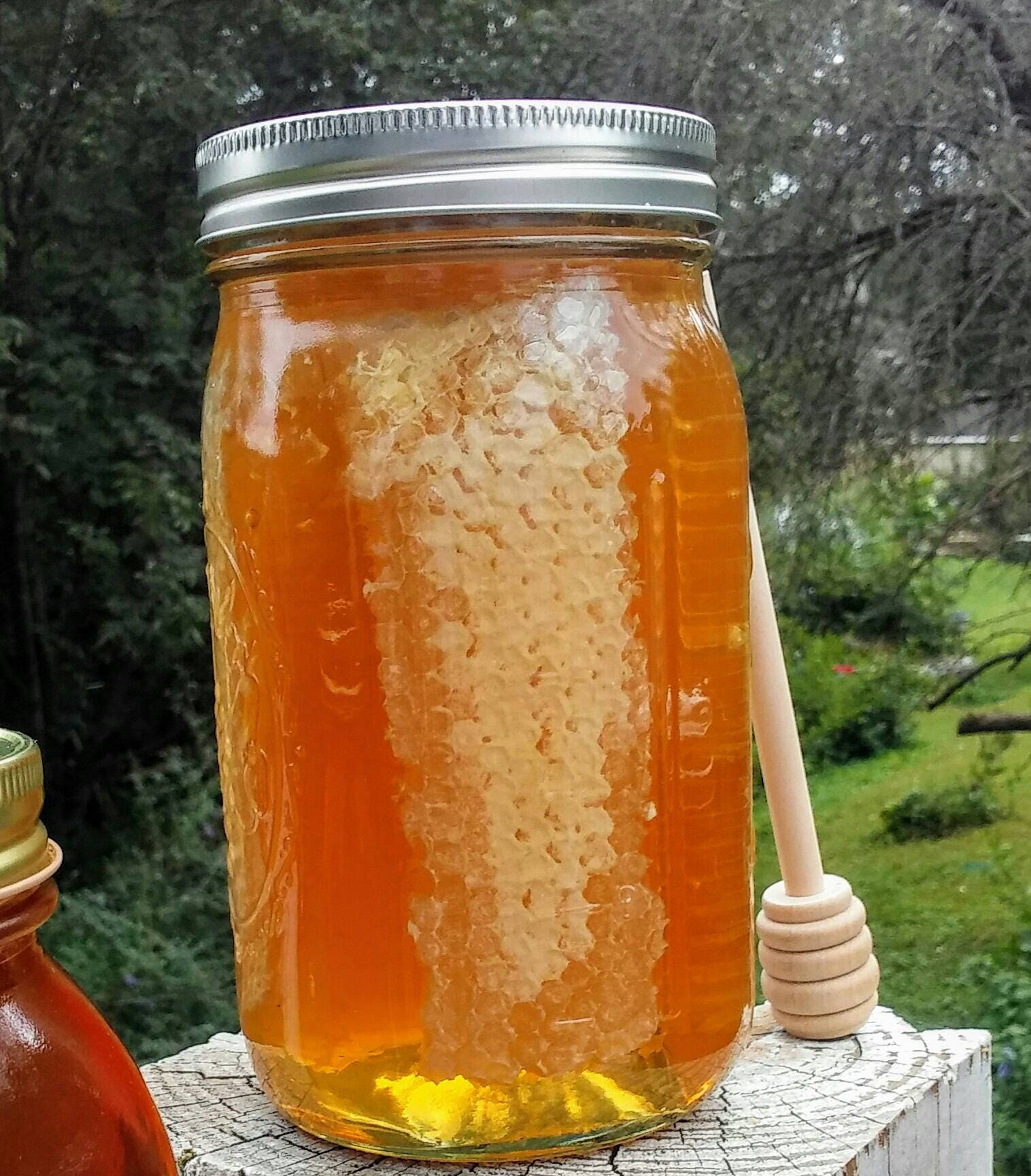 100 Pure North Carolina Sourwood Honey with 1 Quart Etsy