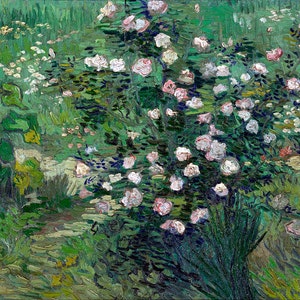 May include: A painting depicting a field of white roses in bloom. The roses are surrounded by green foliage, with a blurred background of green and blue.