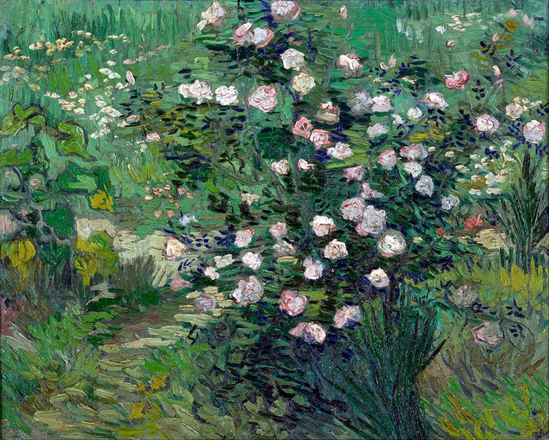 May include: A painting depicting a field of white roses in bloom. The roses are surrounded by green foliage, with a blurred background of green and blue.