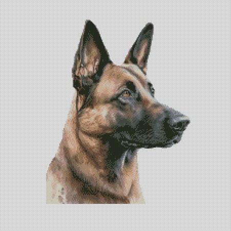 Belgian Malinois Dog 3 Cross Stitch Chart Instant Download PDF Pattern Keeper Compatible