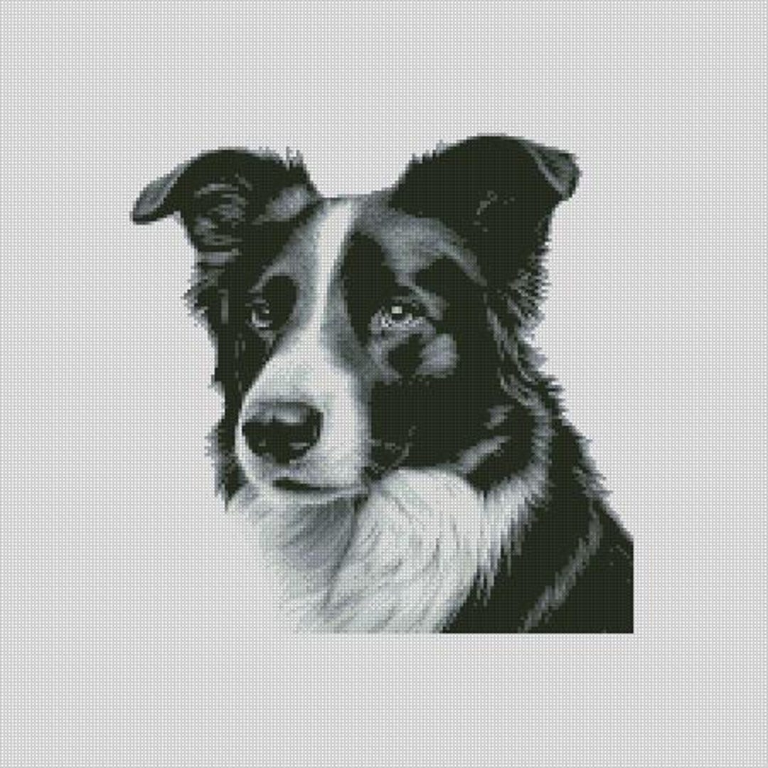 Border Collie Dog 2 Cross Stitch Chart Instant Download PDF Pattern ...