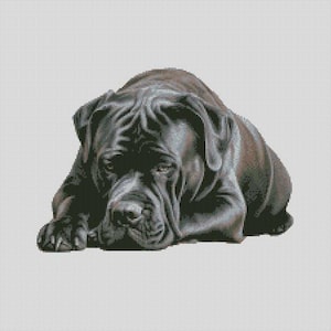 May include: A detailed illustration of a large, dark-coloured dog, possibly a Mastiff, lying down. The dog's fur is a mix of dark grey and brown, with visible wrinkles and folds. The dog's eyes are open, and it appears to be resting on a light grey background.