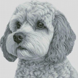 Cavapoo Dog 2 Cross Stitch Chart Instant Download PDF Pattern Keeper ...