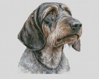 Wirehaired Dachshund Dog 1 Counted Cross Stitch Chart or Complete Kit