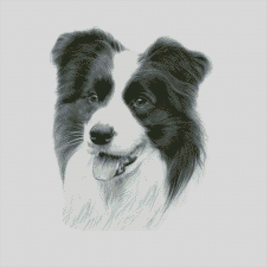 Border Collie Dog Cross Stitch Chart Instant Download PDF Pattern ...