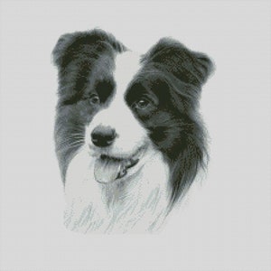 Gráfico de punto de cruz para perro Border Collie Descarga instantánea Patrón PDF Compatible con Keeper