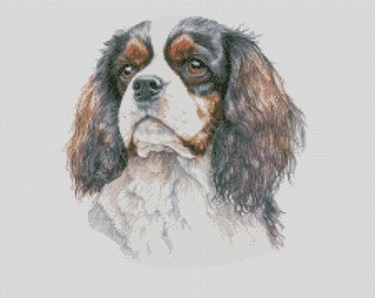 Cavalier King Charles Spaniel Dog 1 Counted Cross Stitch Chart Only or Complete Kit