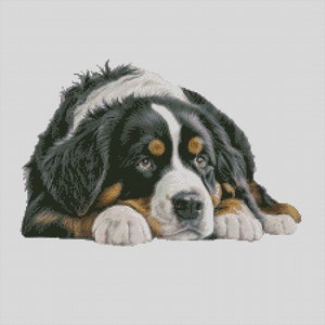 Berner Sennenhund 1 Kreuzstichvorlage Sofortiger Download PDF Muster Finder Kompatibel