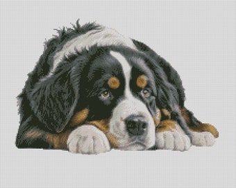 Bernese Mountain Dog 1 Cross Stitch Chart Instant Download PDF Pattern Keeper Compatible