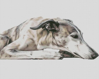 Puede incluir: Ilustración detallada de un galgo acostado, con pelaje gris claro y marrón. El perro está descansando, con la cabeza y las patas delanteras visibles, sobre un fondo blanco liso. La obra captura la postura relajada del perro.