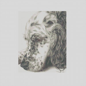 May include: A black and white drawing of a dog's head, the dog is a white and brown English Setter with a long, floppy ear.