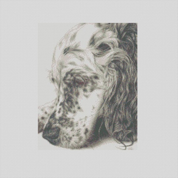 English Setter Dog Counted Cross Stitch Chart or Complete Kit