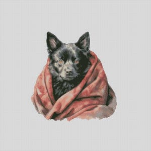 May include: A black dog with amber eyes is wrapped in a red blanket. The dog's fur is dark and fluffy, and the blanket is draped around its shoulders, creating a cozy and warm image. The background is a plain white.