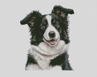 Border Collie Dog 1 Counted Cross Stitch Chart Only or Complete Kit