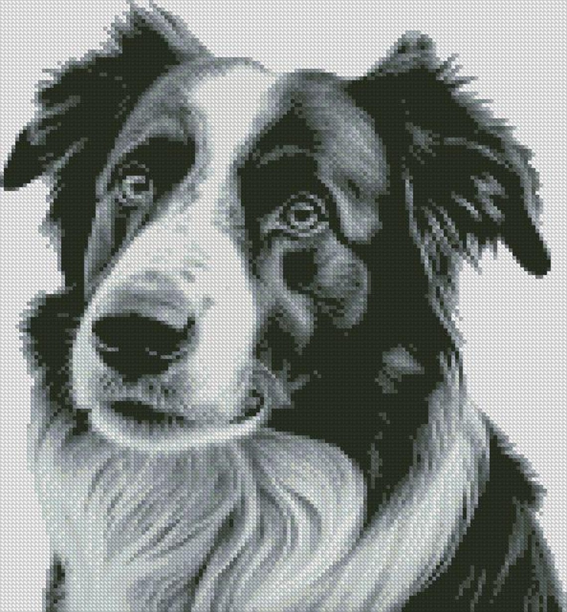 Border Collie Dog 1 Cross Stitch Chart Instant Download PDF Pattern ...